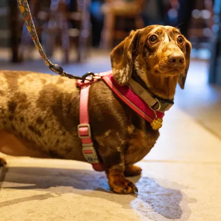 Hotel The Kings Arms Cartmel